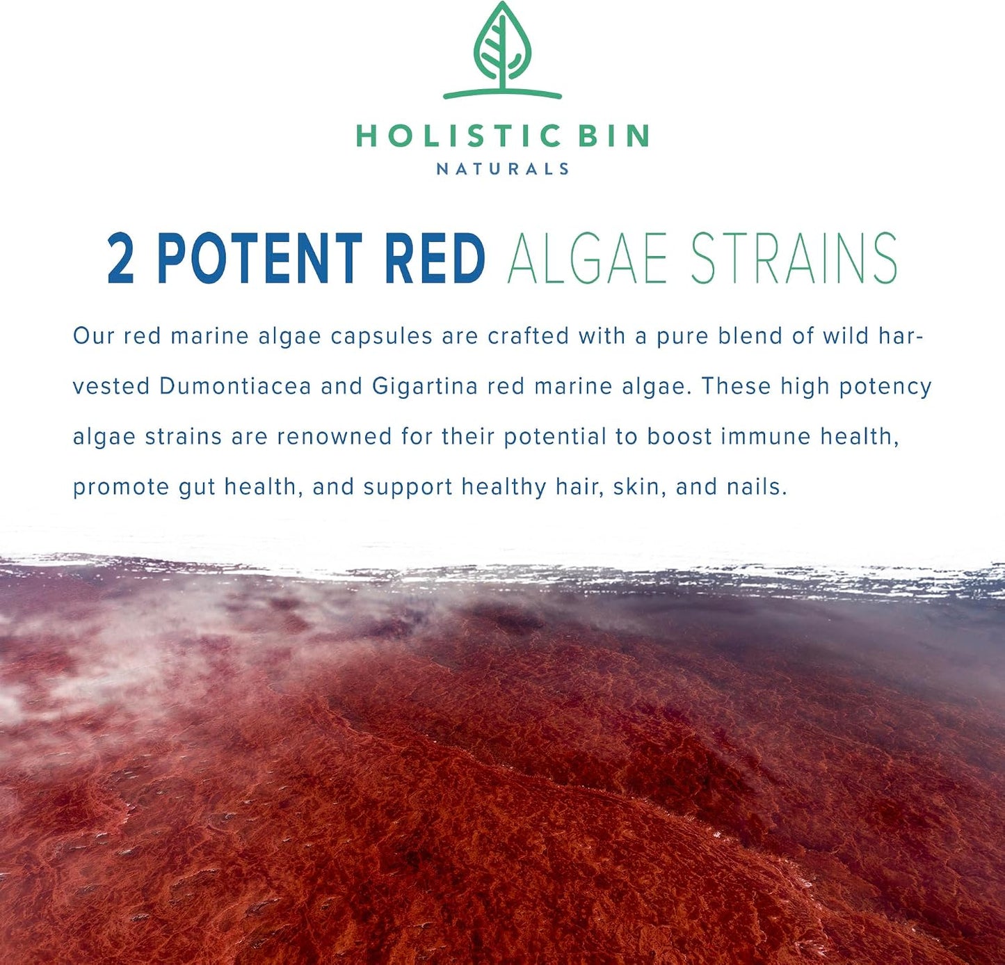 Holistic Bin Red Marine Algae Capsules - Gigartina & Dumontiacea, Wild Harvested, Vegan Omega-3 (40 Capsules) - görsel 2
