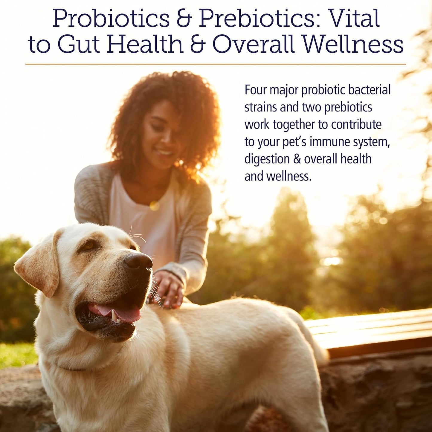 Rx Vitamins Rx Biotic - Probiotic Powder for Dogs and Cats - Cat Digestive Support & Probiotic for Dogs Gut Health - Dog Probiotics for Digestive Health - 60g - görsel 2