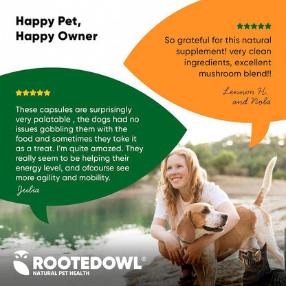 Rooted Owl® Mushroom Supplement for Dogs & Cats - Immune Support - 60 Capsules