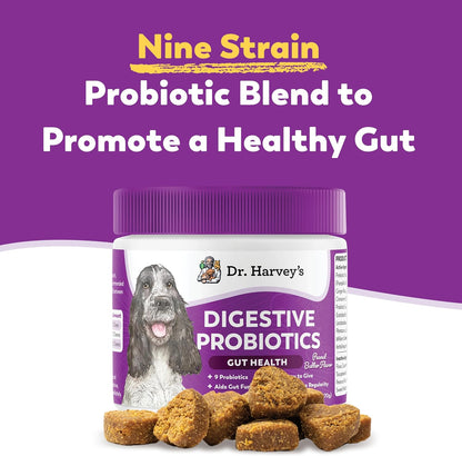 Dr. Harvey's Digestive Probiotic Soft Chews for Dogs, 9 Probiotics for Gut Health, Peanut Butter Flavour (90 Chews)