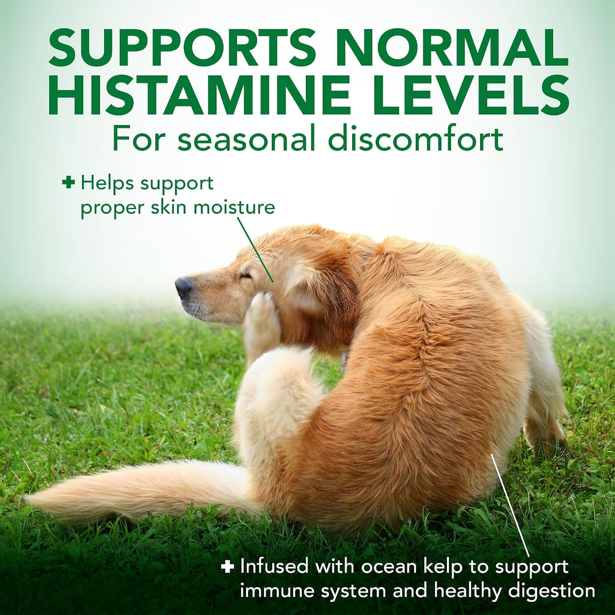 Vet's Best Seasonal Allergy Soft Chew Dog Supplements – 30 Day Supply - görsel 2