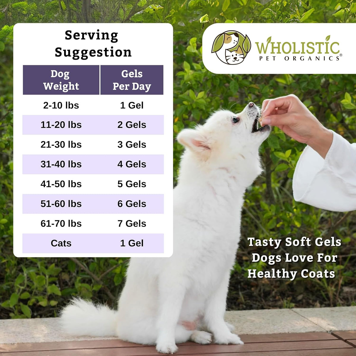 Wholistic Pet Organics Krill Oil for Dogs and Cats - Premium Antioxidant Support - 60 Soft Gels - görsel 6