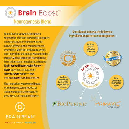 Brain Bean Brain-Boost (Formerly Brain Bean)
