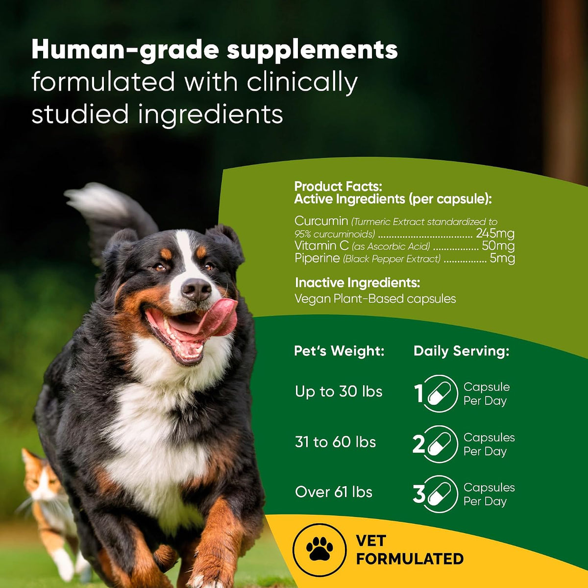 Rooted Owl Turmeric for Dogs & Cats - Curcumin Supplement with Piperine and Vitamin C, 60 Vegan Capsules - görsel 2