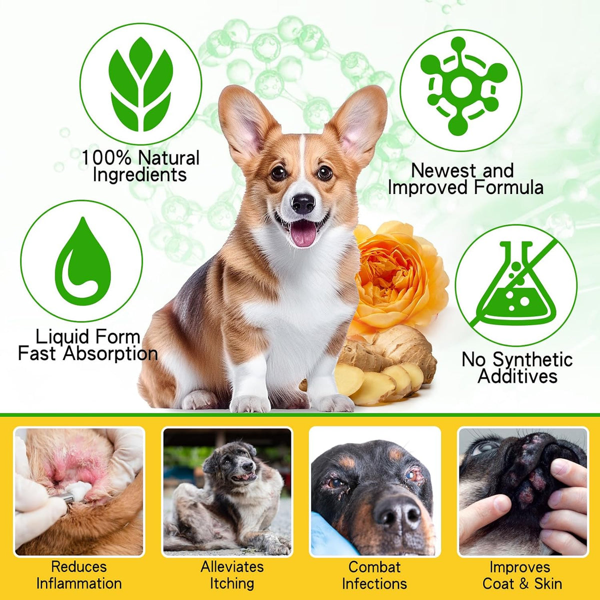 Natural Yeast Infection Treatment for Dogs - – May encourage calm behaviour — Certain herbs can help your dog feel – Image 5