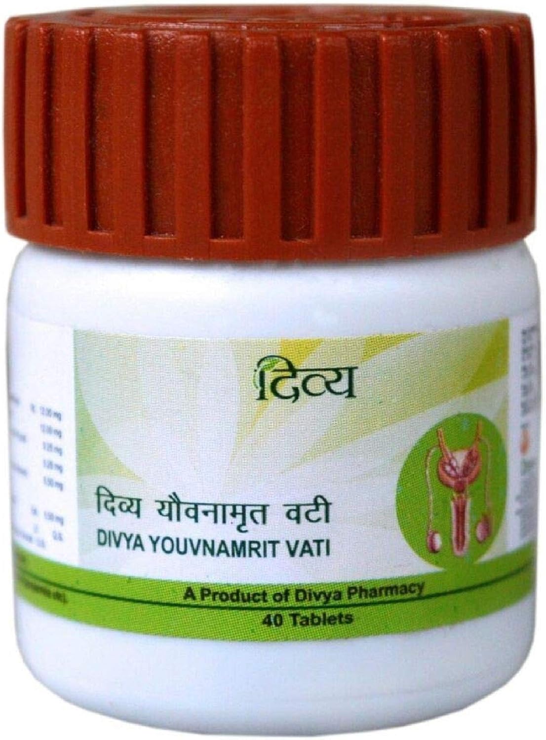 PATANJALI YOUVNAMRIT VATI - 40 TABLETS - görsel 1
