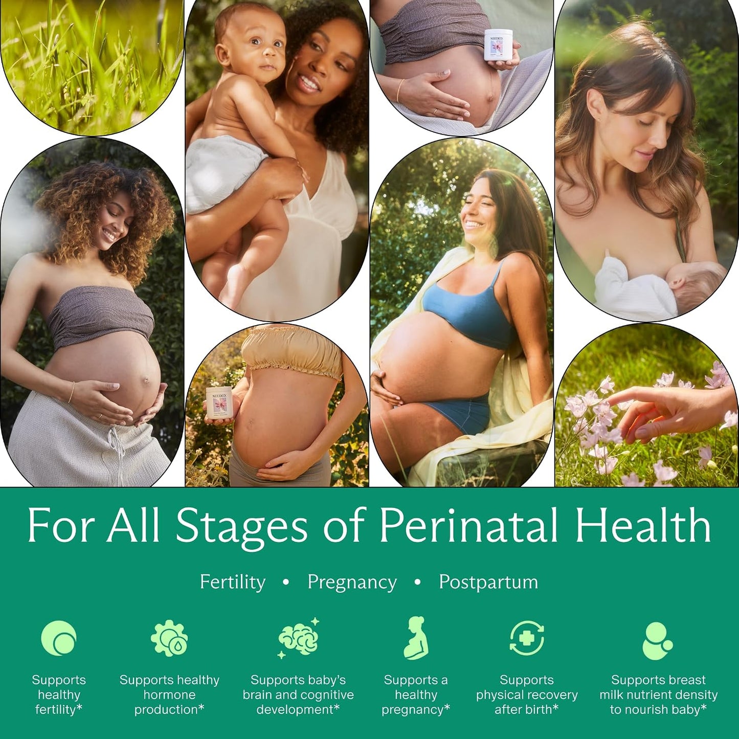 Needed. Prenatal Multi Essentials Capsules - 23 Nutrients for Pregnancy, Breastfeeding, Postpartum | Third-Party Tested, 30-Day Supply - görsel 4