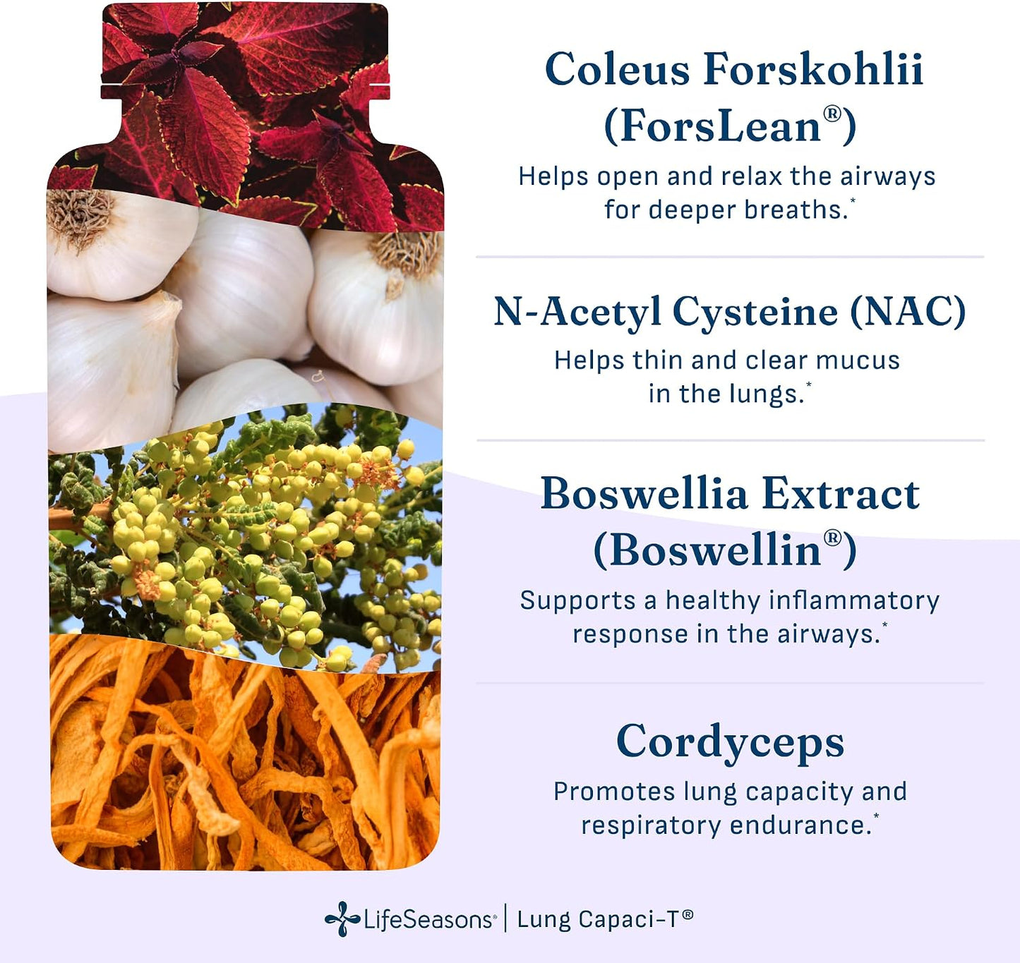 Lung Capaci-T - Respiratory Support Supplement - CoQ10, N-Acetyl Cysteine, Boswellia, Eucalyptus, Mullein, Green Tea, Nettle & Peppermint - Supports Oxygen Capacity & Mucus Clearance - 90 Capsules - görsel 5