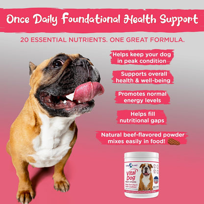 Vital Dog Multivitamin Powder – Beef Flavoured, 30 Servings