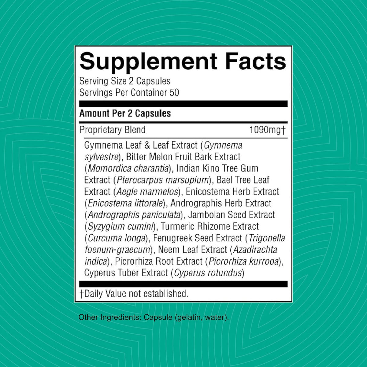 Nature's Sunshine Blood Sugar Formula, 100 Capsules - görsel 3