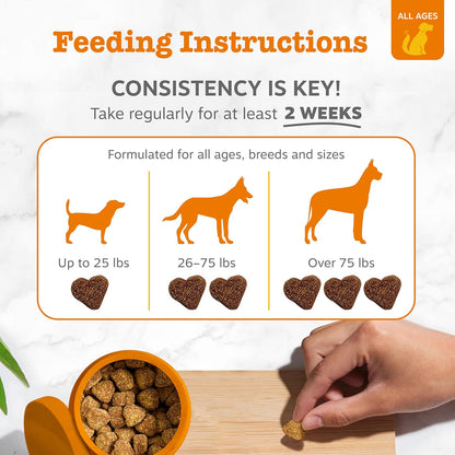 Zesty Paws Liver Support Supplement for Dogs – Milk Thistle, Turmeric, Choline Soft Chews