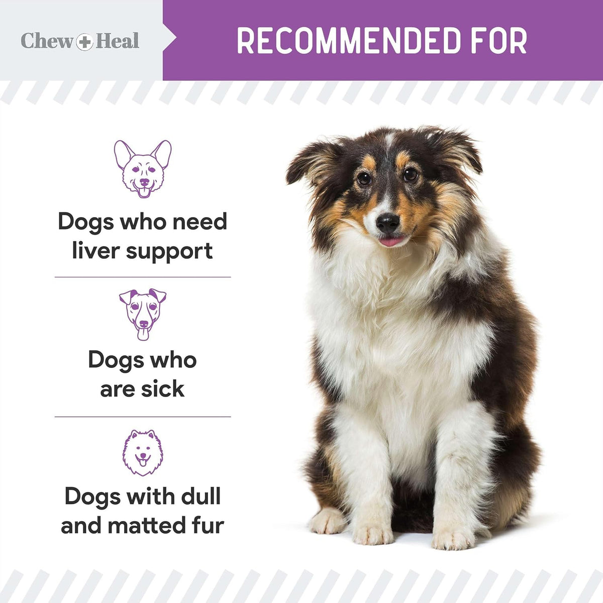 Milk Thistle for Dogs Liver Support - 60 ml Liquid Milk Thistle Supplement with Wild Alaskan Salmon Oil and Moringa Oil - Made in the USA - görsel 5