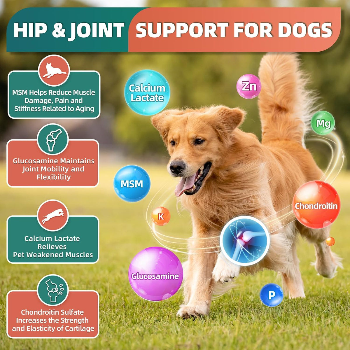Dog Multivitamin, Dog Vitamins and Supplements, Multivitamin for Dogs with Glucosamine, Probiotics & Omega-3 for Joint, Digestive, Skin, Coat and Immune Health, Chicken Flavour - 180 Bites - görsel 5