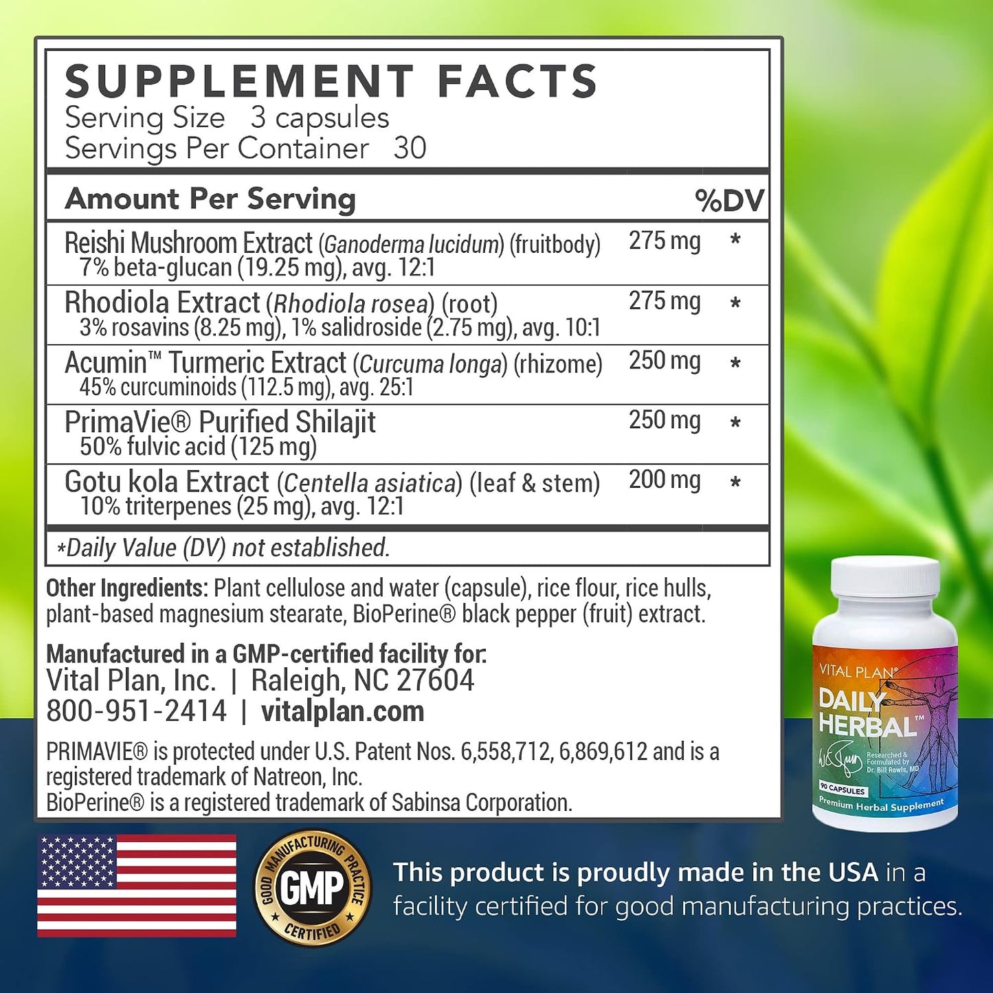 Vital Plan Daily Herbal Supplement – Immune Support, Microbiome Balance and Cell Health - görsel 2