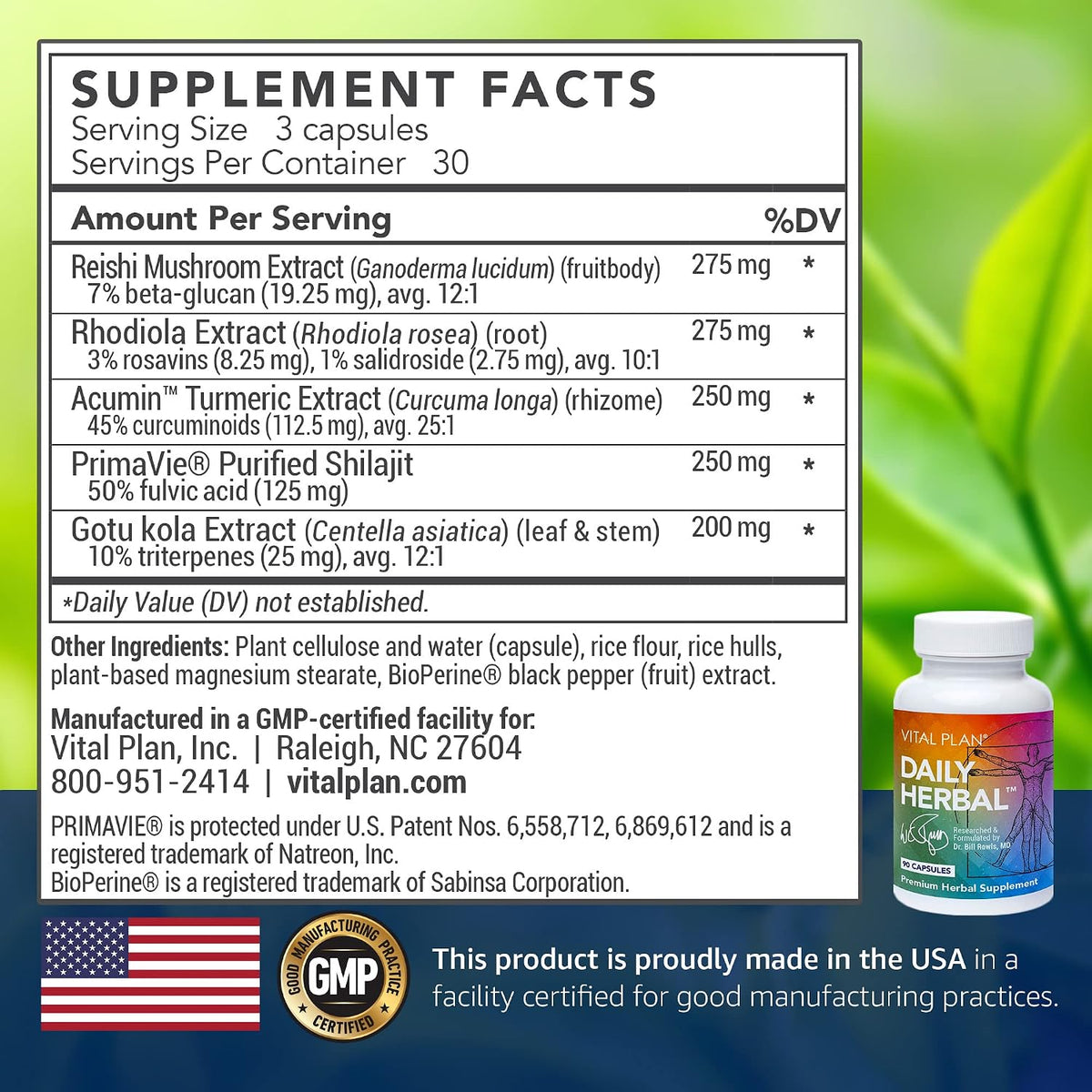 Vital Plan Daily Herbal Supplement – Immune Support, Microbiome Balance and Cell Health - görsel 2