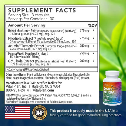 Vital Plan Daily Herbal Supplement – Immune Support, Microbiome Balance and Cell Health