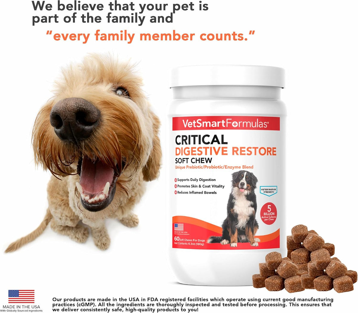 Critical Digestive Restore Soft Chews for Dogs - 10 Billion CFU Probiotic Support - görsel 5