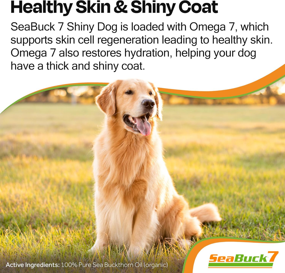 SeaBuck 7 Shiny Dog Sea Buckthorn Oil for Dogs, 60ml – Image 2