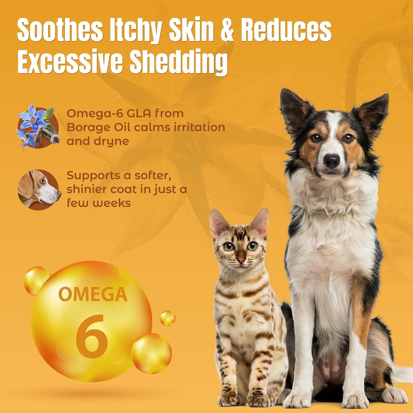 Lifeline Wild Anchovy & Borage Oil for Dogs | Omega-6 GLA Supplement for Skin Health, Allergies & Coat | Reduces Shedding, Itching & Inflammation – 770 ml - görsel 2