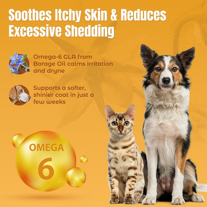Lifeline Wild Anchovy & Borage Oil for Dogs | Omega-6 GLA Supplement for Skin Health, Allergies & Coat | Reduces Shedding, Itching & Inflammation – 770 ml