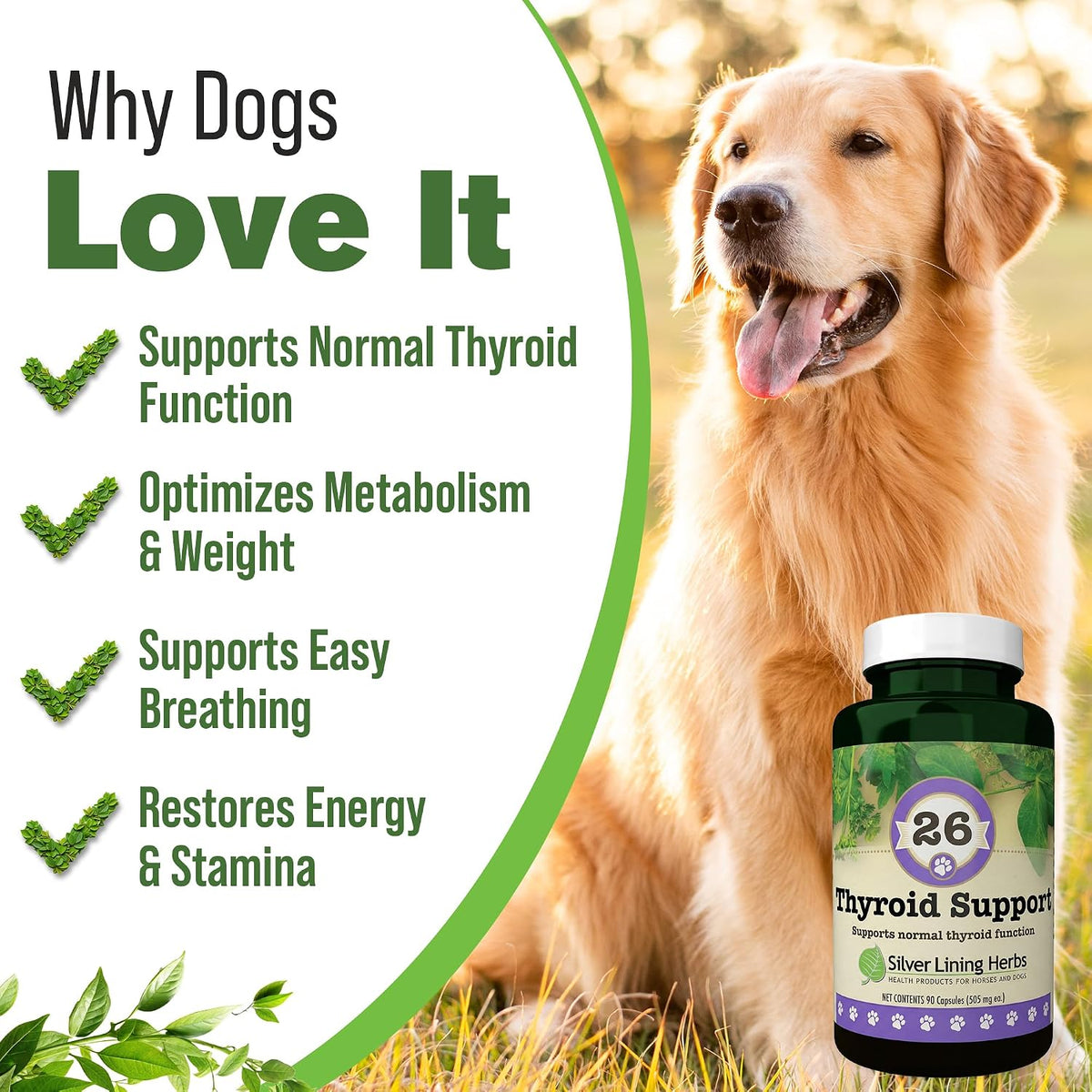 Silver Lining Herbs Thyroid Support for Dogs - 90 Capsules - görsel 4