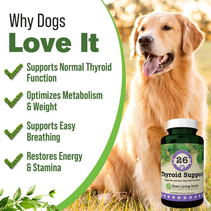 Silver Lining Herbs Thyroid Support for Dogs - 90 Capsules