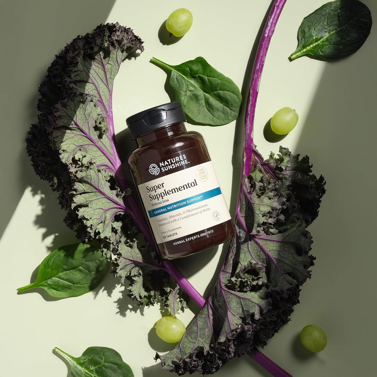 Nature's Sunshine Super Supplementary without Iron – Complete Multivitamin with Minerals, Herbs & Amino Acids - görsel 5