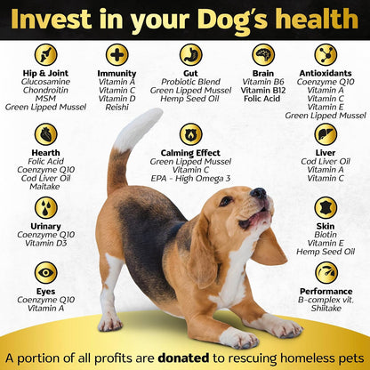 Life4Legs Soft Chews Dog Multivitamin & Supplements