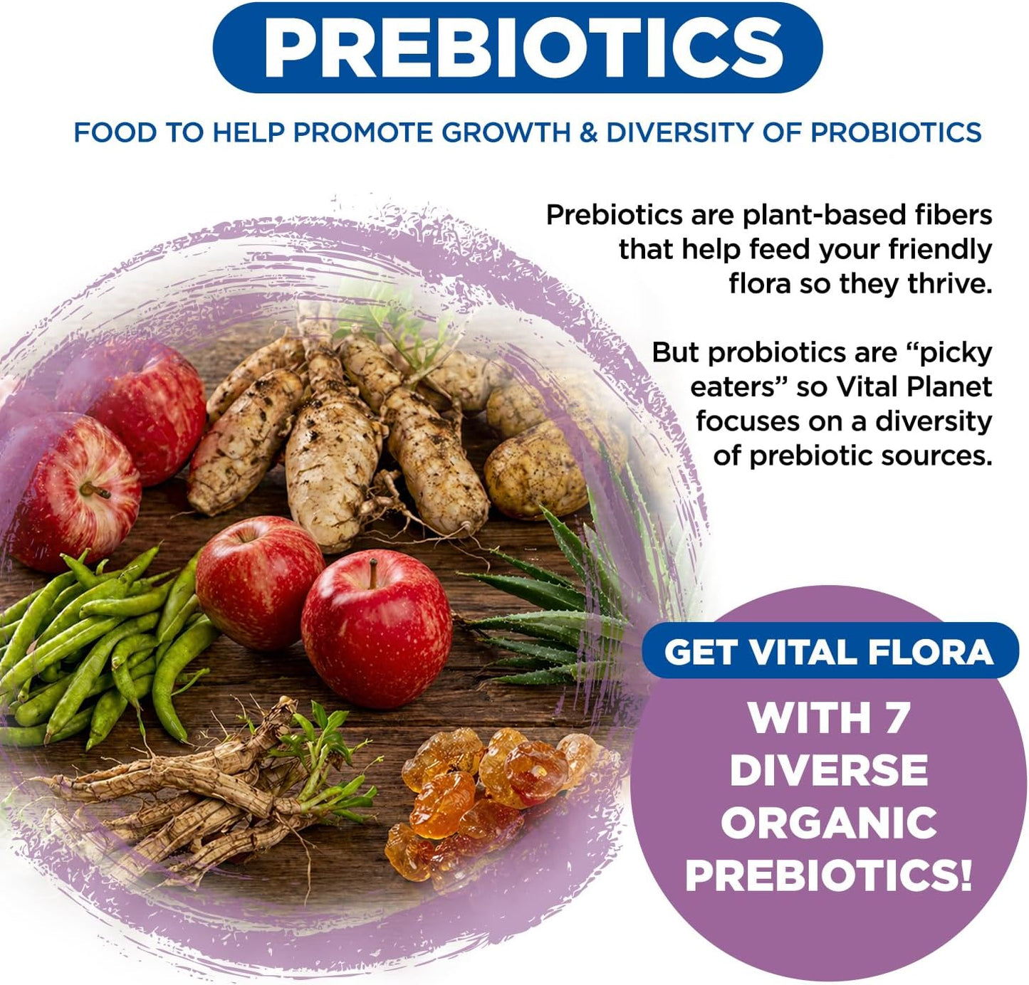 Vital Planet - Vital Flora Women’s Daily Probiotic 60 Billion CFU - görsel 5