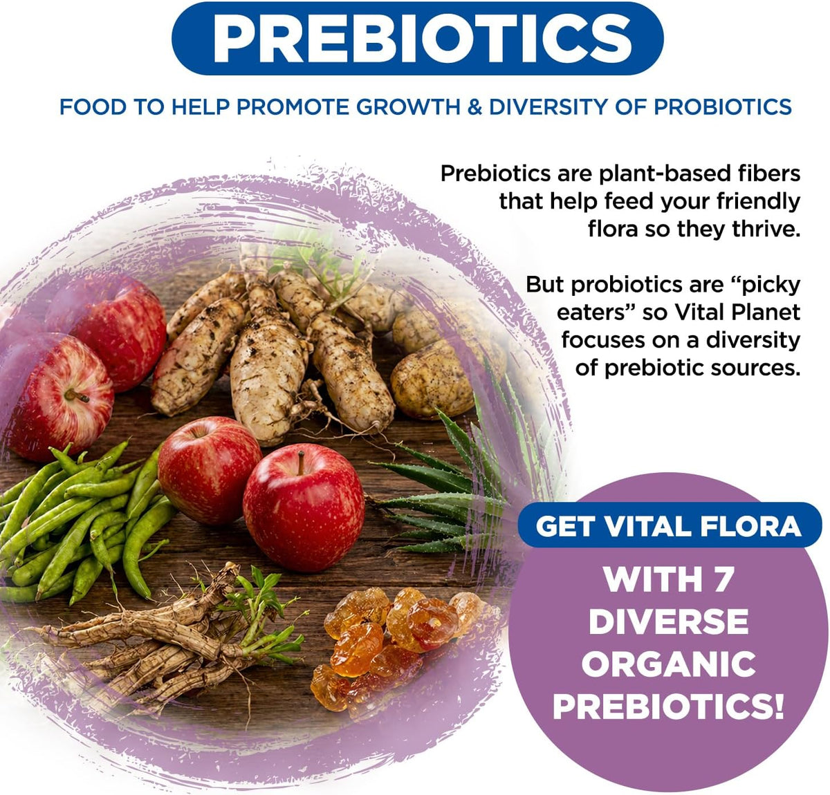Vital Planet - Vital Flora Women’s Daily Probiotic 60 Billion CFU - görsel 5