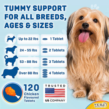 Dog Probiotics - Prebiotic & Probiotic Chews - Supports Immunity, Digestive & Gut Health - 120 Chicken Flavoured Tablets