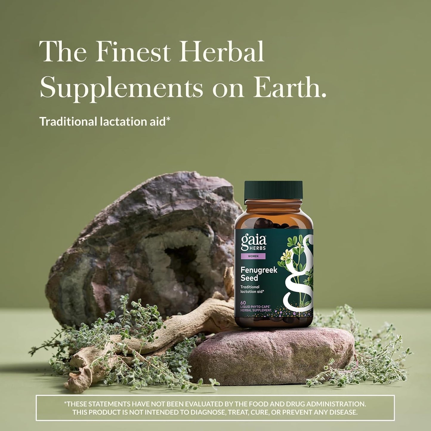 Gaia Herbs Fenugreek Seed - 60 Vegan Liquid Phyto-Capsules - görsel 2