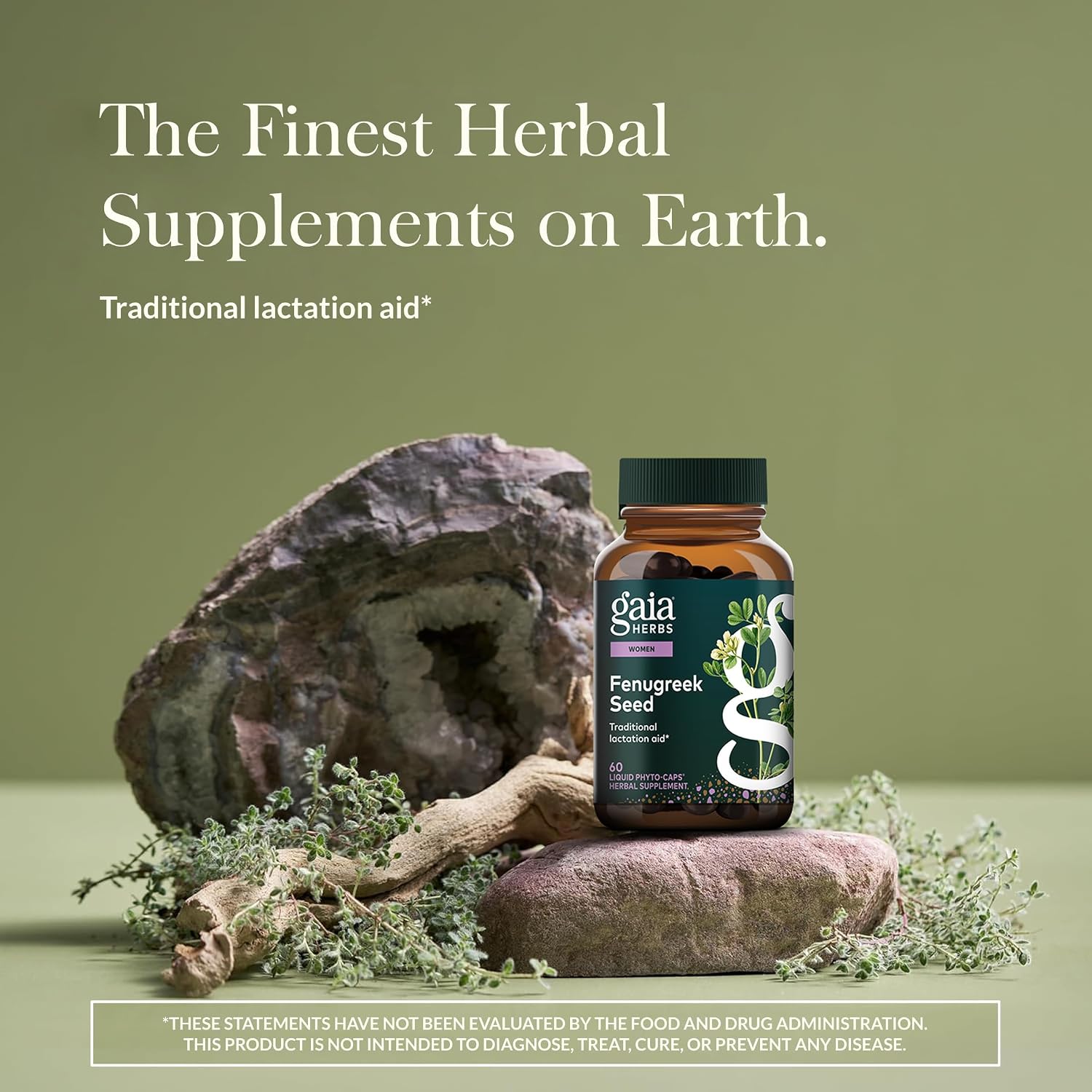 Gaia Herbs Fenugreek Seed - 60 Vegan Liquid Phyto-Capsules - görsel 2