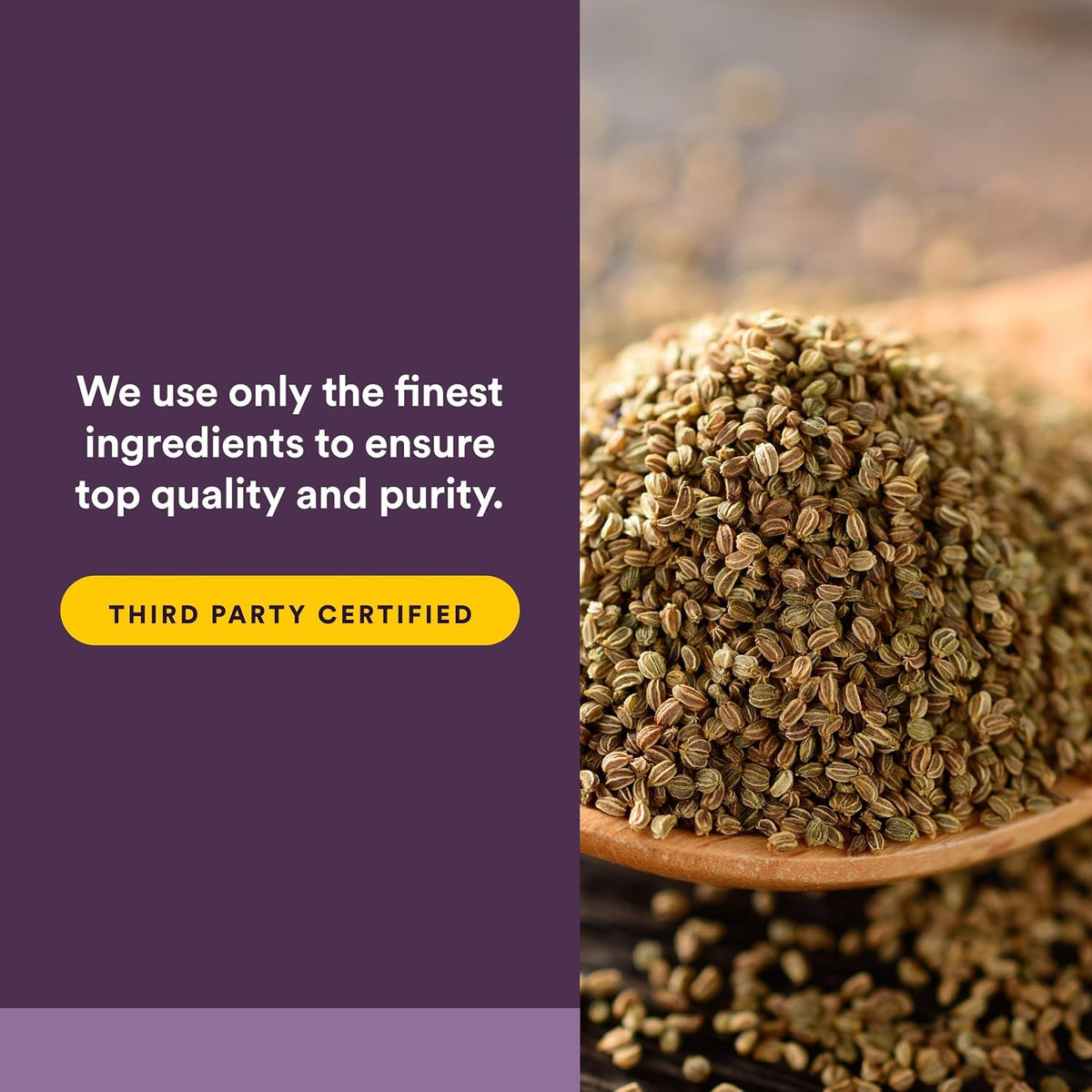 Natural Factors Celery Seed Concentrated Extract — Supports Circulation & Joint Comfort - görsel 5