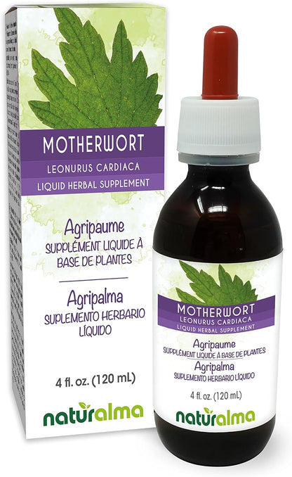 Naturalma Motherwort (Leonurus cardiaca) Herb and Flowers Alcohol-Free Tincture - 120 ml Liquid Extract in Drops - Herbal Supplement - Vegan