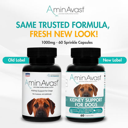 AminAvast Kidney Support Supplement for Dogs, 1000mg 2-Pack – 60 Sprinkle Capsules