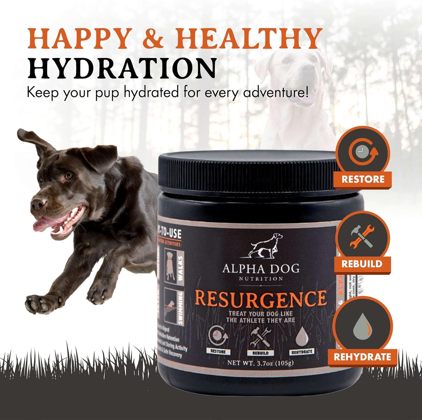 Alpha Dog Nutrition Electrolytes for Dogs - PhD Formulated Hydration Supplement with Beef Flavour for Active Canines - görsel 2