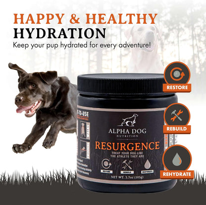 Alpha Dog Nutrition Electrolytes for Dogs - PhD Formulated Hydration Supplement with Beef Flavour for Active Canines