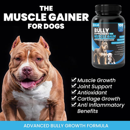 Kilab Dog Weight Gainer – 100 Chewable Tablets for Dogs Muscle Builder
