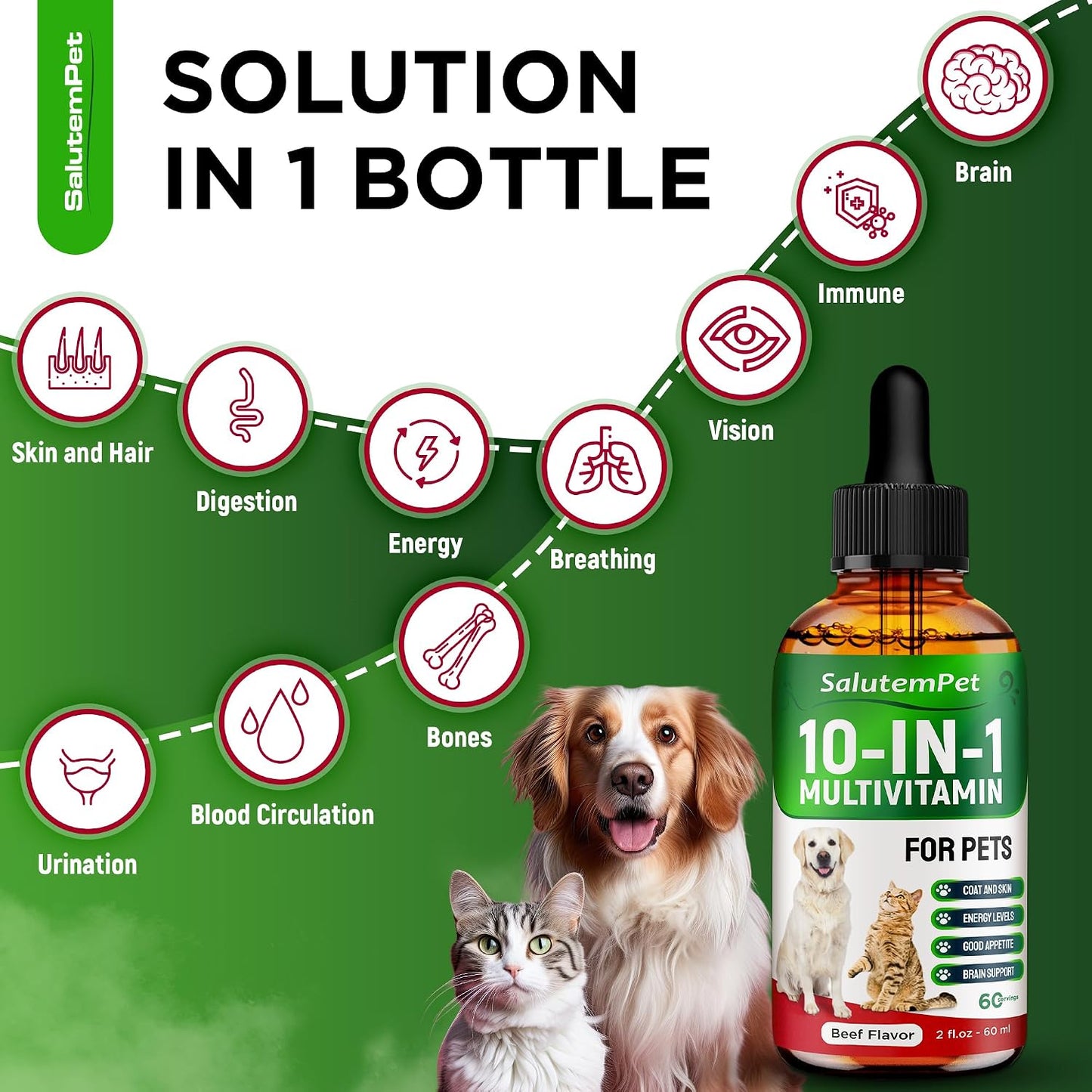 SalutemPet Liquid Multivitamin for Cats and Dogs - 10-in-1 Supplement with Vitamins C, D3, B Complex, Glucosamine, Cranberry - Beef Flavour - 60 ml - görsel 2