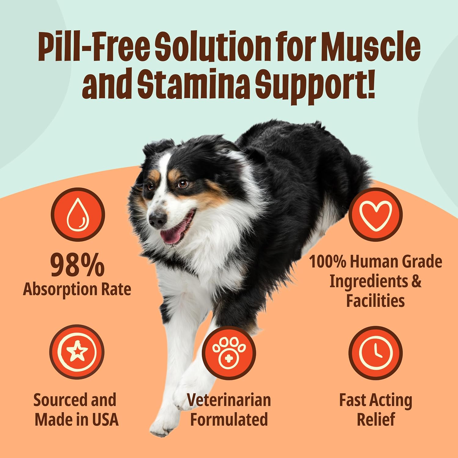 Licks Active Dog – Muscle Recovery and Energy Support Liquid Sachets, Chicken Flavour (15 Pack) - görsel 4
