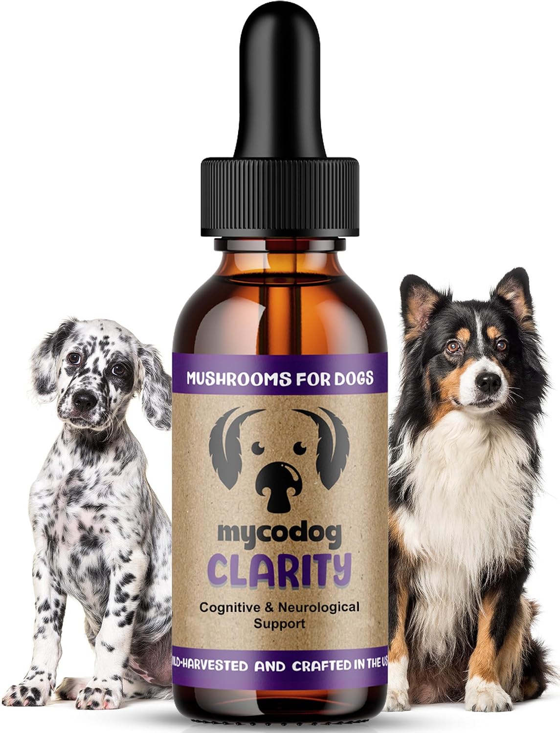 MycoDog Clarity - Cognitive Support Supplement for Dogs - Brain Health & Senior Dog Wellness with Functional Mushrooms & Adaptogens - görsel 1