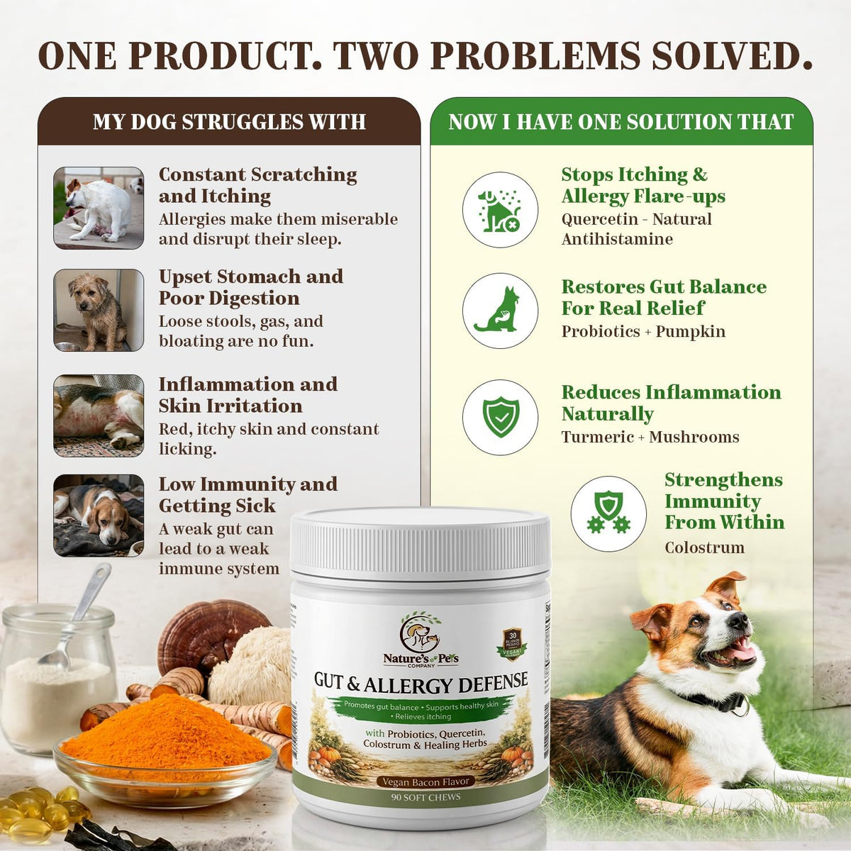 30 Billion CFU Probiotics for Dogs – Gut & Allergy Defence Chews with Quercetin, Colostrum, Turmeric, Mushrooms – 90 Soft Chews – Made in USA - görsel 4