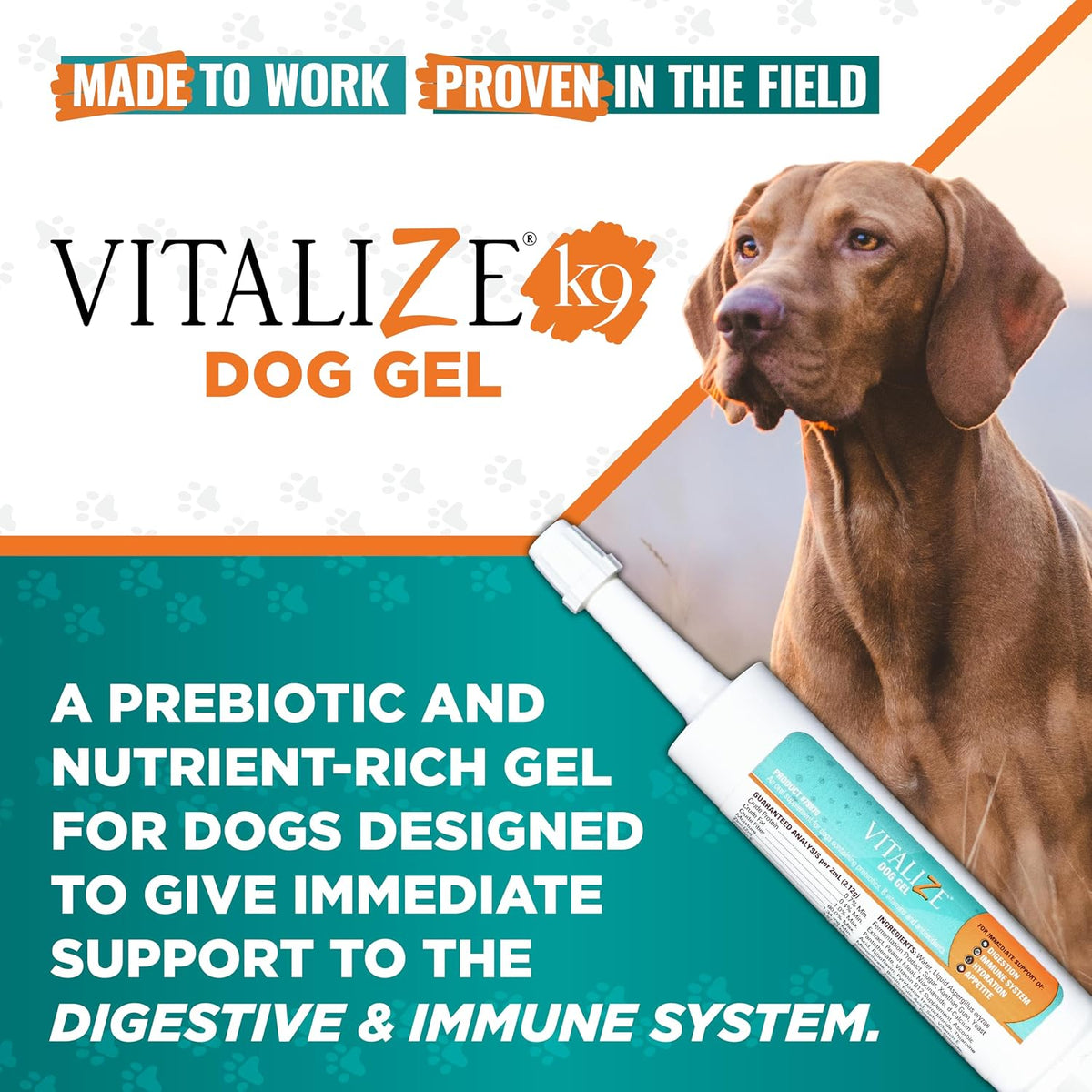 Vitalize Dog Gel - Surgery Recovery & Immune Support for Small Dogs - Peanut Butter Flavour (15 ml) - görsel 2