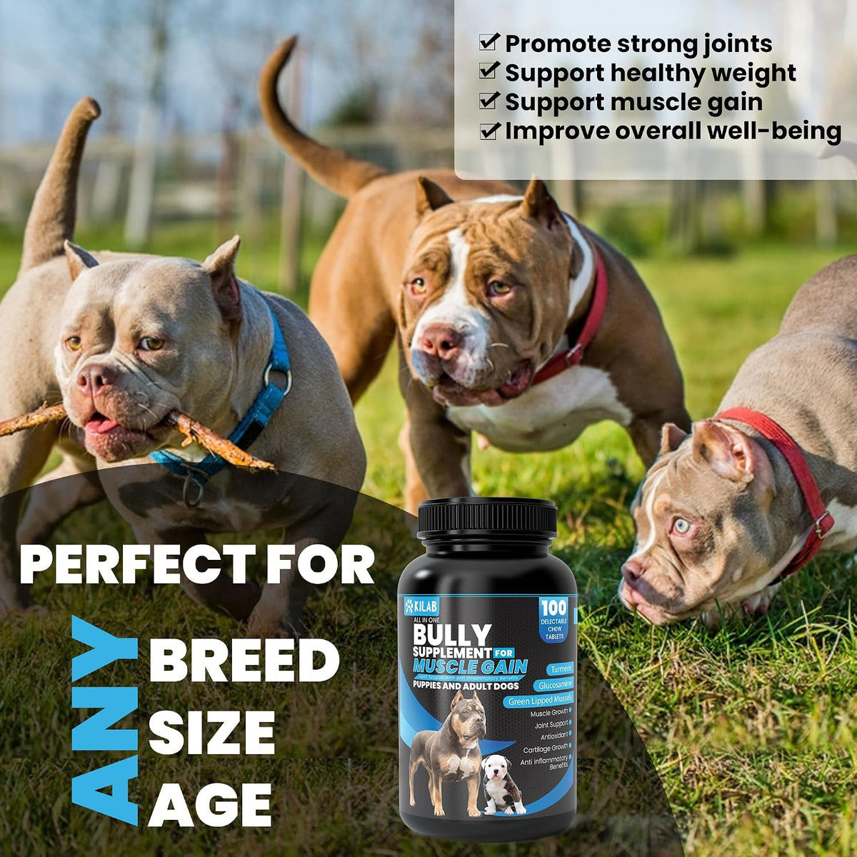 Kilab Dog Weight Gainer – 100 Chewable Tablets for Dogs Muscle Builder - görsel 4