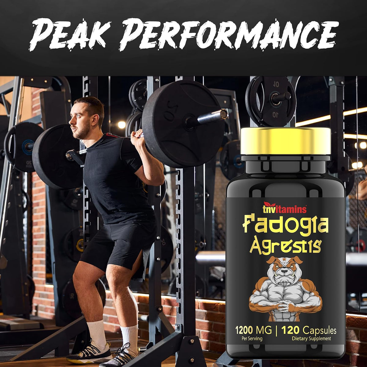 Fadogia Agrestis 1200 mg – 120 Capsules | – Male Vitality: Commonly included in regimens for overall men’s health. – Image 4
