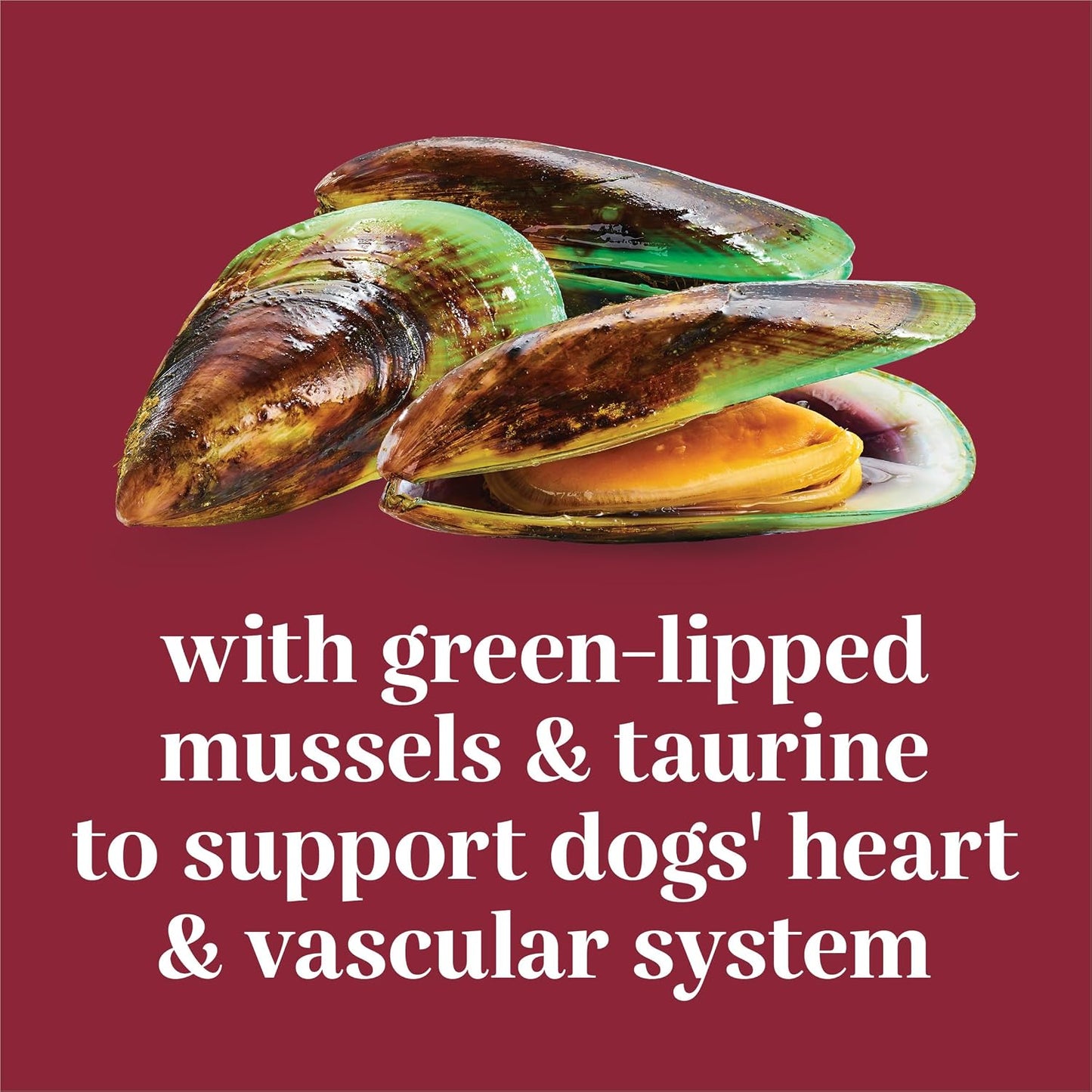 EverRoot Dog Heart Health Chewable Tablets with Taurine and Green-Lipped Mussels - görsel 3
