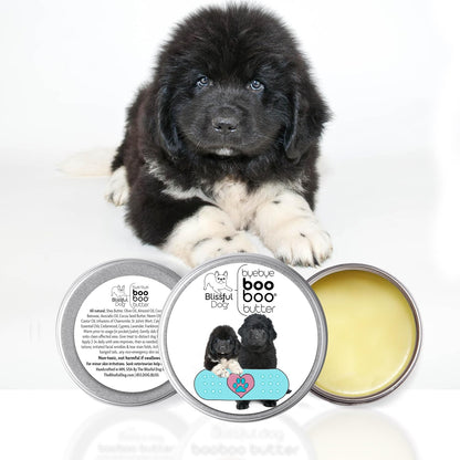 The Blissful Dog Newfoundland Booboo Butter – 57 g Tin