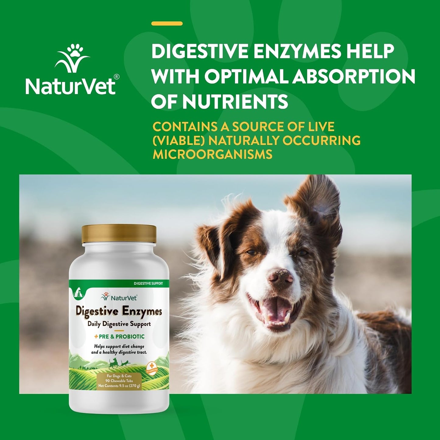 NaturVet Digestive Enzymes Plus Probiotics for Dogs, Soft Chews (90 Count) - görsel 4
