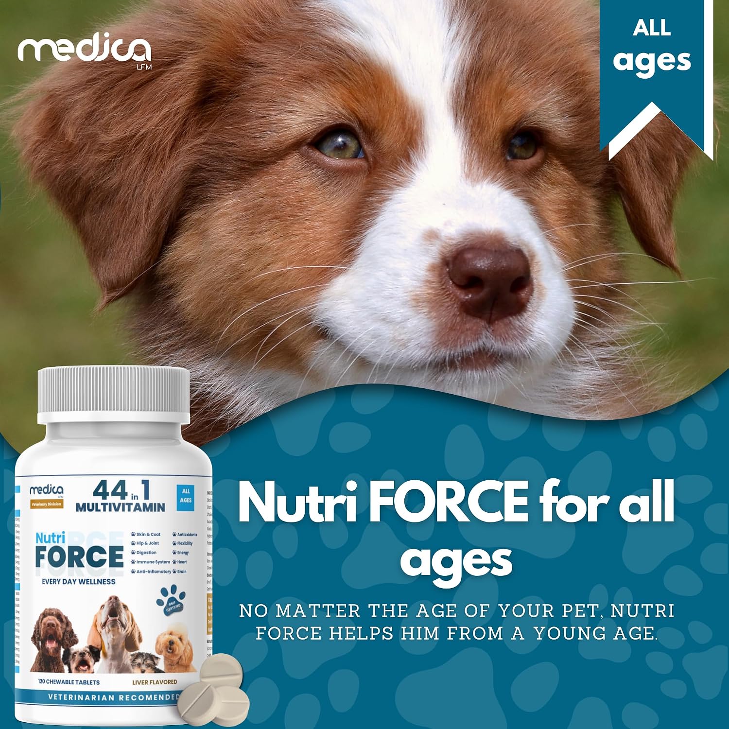 NutriForce 44-in-1 Multivitamin for Dogs – 120 Chewable Tablets – Liver Flavour - görsel 3